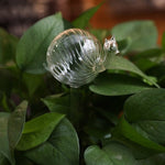 arrosage goutte à goutte en verre
