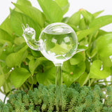 arrosoir insecte en verre