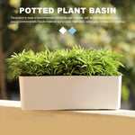 Jardinière arrosage plante d'intérieur