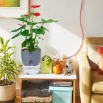 pot autonome arrosage plante d'intérieur