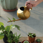 arrosoir metal design cactus