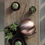 arrosoir plante d'intérieur cuivre