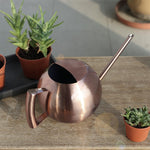 arrosoir cactus