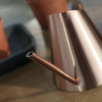 Arrosoir Design métallique inox