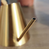 Indoor Watering Can: Gold
