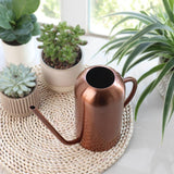 Arrosoir Design métal