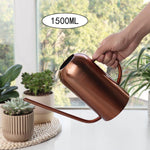 Arrosoir Design acier inox