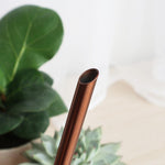 Long Spout Watering Can: Copper