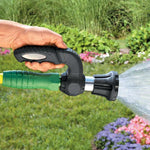 Arrosage plante jardin fleurs