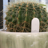 hygromètre plantes