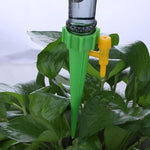 Arrosage goutte a goutte des plantes d'intérieur
