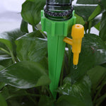 arrosage goutte a goutte plante en pot