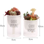 Self-watering pot