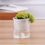 pot de fleur arrosage