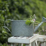 Arrosoir déco de jardin