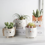 pot de fleur pour enfant