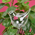 arrosoir oiseau en verre