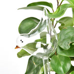 Arrosoir en verre oiseau
