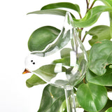 Arrosoir en verre oiseau
