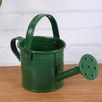 Mini Metal Watering Can<br> (set of 2)
