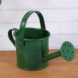 Mini Metal Watering Can<br> (set of 2)