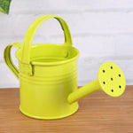 Mini Metal Watering Can<br> (set of 2)