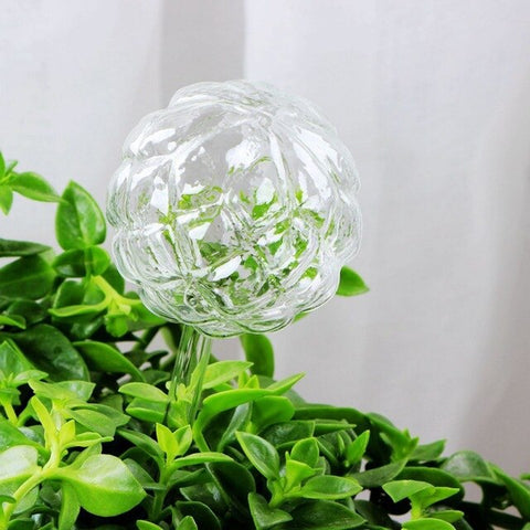 boule d'arrosage en verre