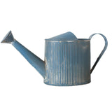 Arrosoir vintage zinc