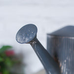 Arrosoir vintage metal