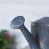 Arrosoir vintage metal