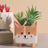 cache pot chien