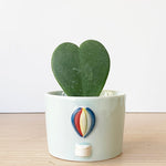 pot de fleur bébé