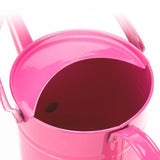 arrosoir rose