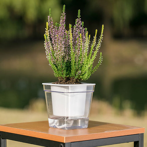 Pot d'arrosage automatique