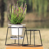 pot système arrosage plante