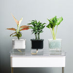 Self-contained pot