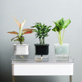 Self-contained pot