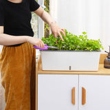 arrosage autonome plante d'intérieur