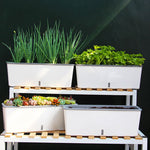 jardinière arrosage autonome