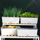 jardinière arrosage autonome