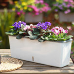 jardinière plante en pot