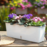 jardinière plante en pot