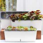 Jardinière plante d'intérieur