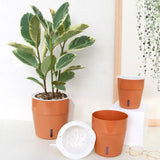 pot de fleur arrosage