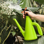 Arrosoir spray