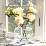vase transparent