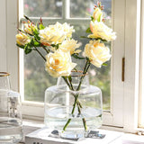 vase transparent