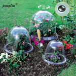 cloche de jardin