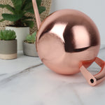 1 Liter Stainless Steel Watering Can