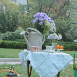 Arrosoir zinc déco